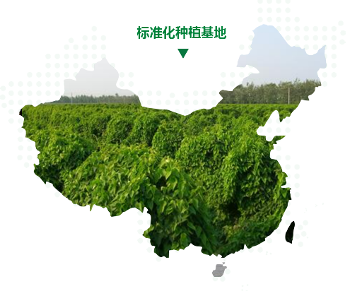 溫縣懷府天成生物科技