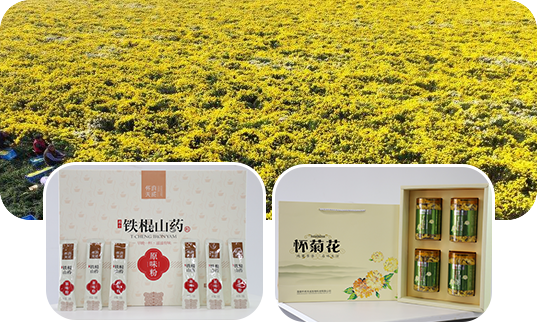 溫縣懷府天成生物科技