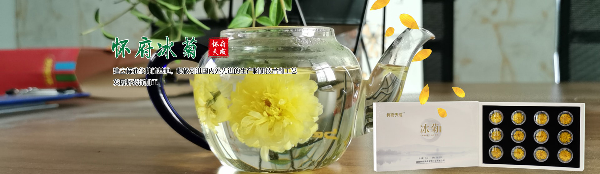 溫縣懷府天成生物科技有限公司